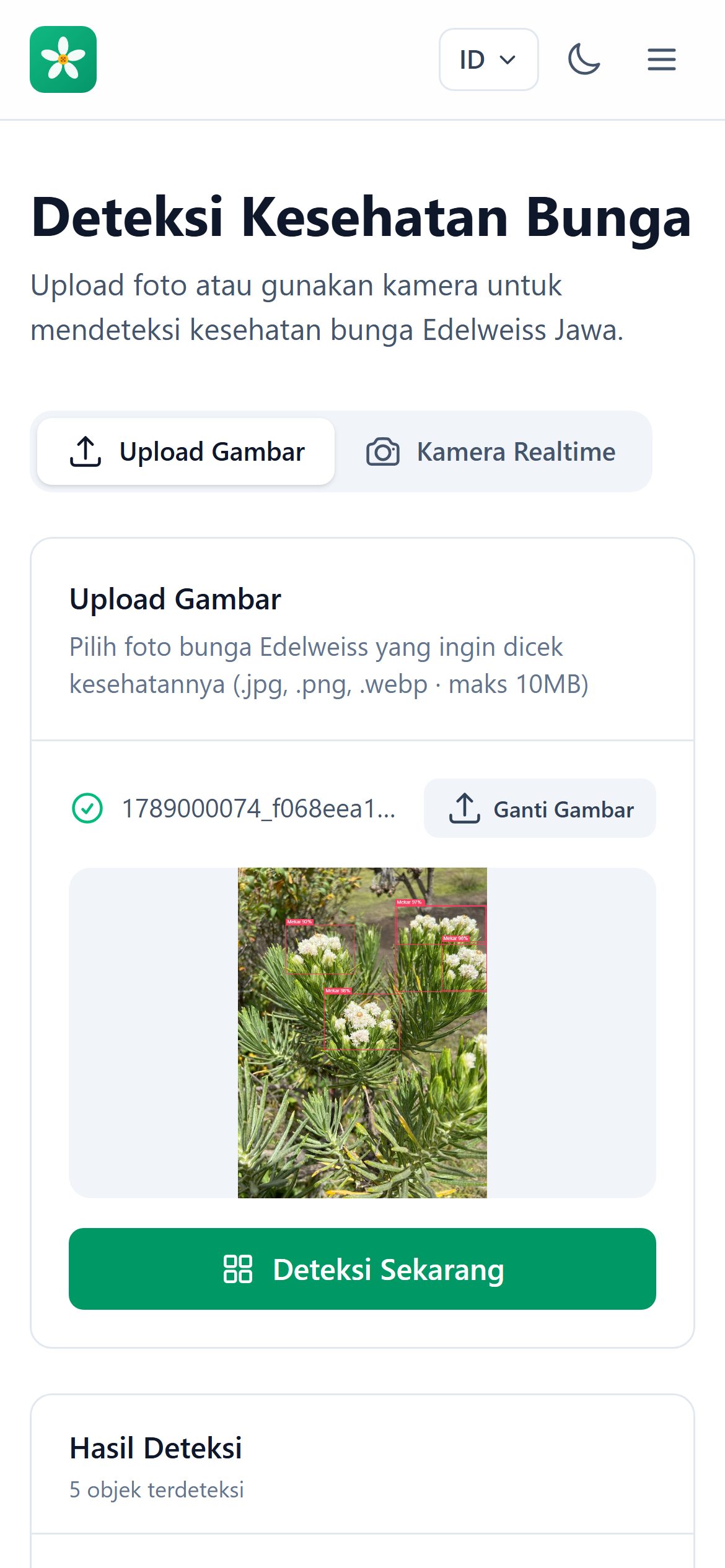 Deteksi hasil (mobile)
