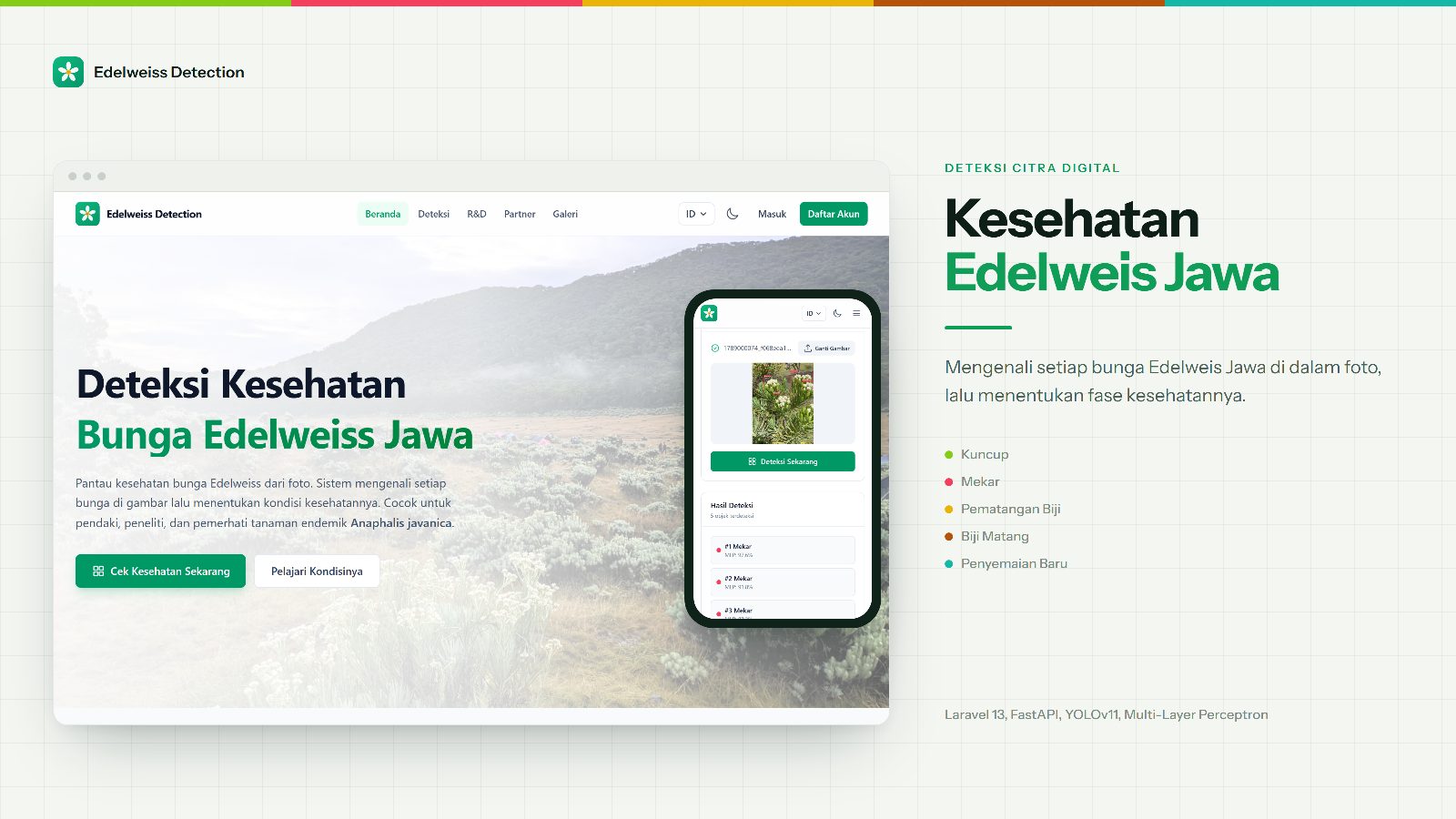 Sampul project Edelweiss Detection: Deteksi Kesehatan Edelweis Jawa